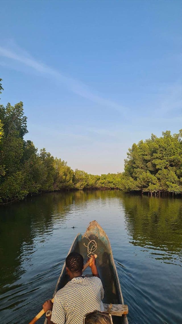 Eine Person paddelt ein Holzkanu entlang eines ruhigen Flusses, gesäumt von dichten grünen Mangrovenwäldern unter klarem Himmel.