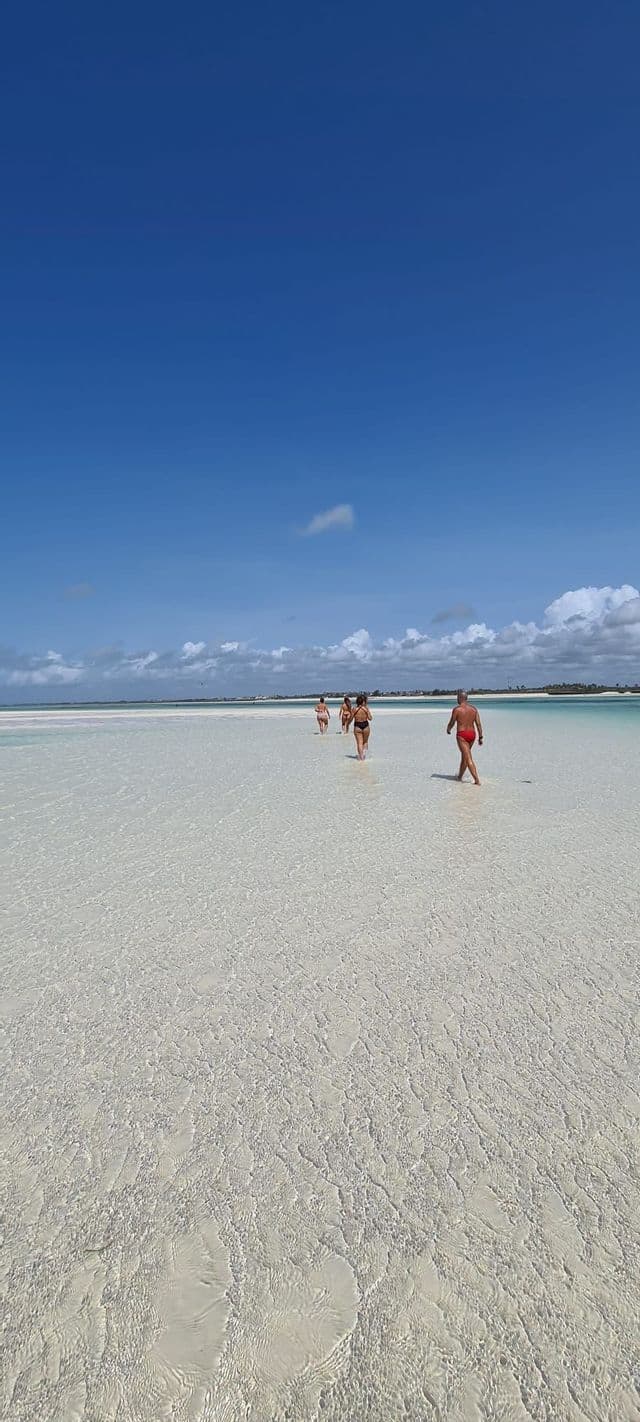 Un viaggio di gruppo WeRoad che cammina in fila attraverso acqua bassa e cristallina su un vasto banco di sabbia bianca sotto un cielo blu.