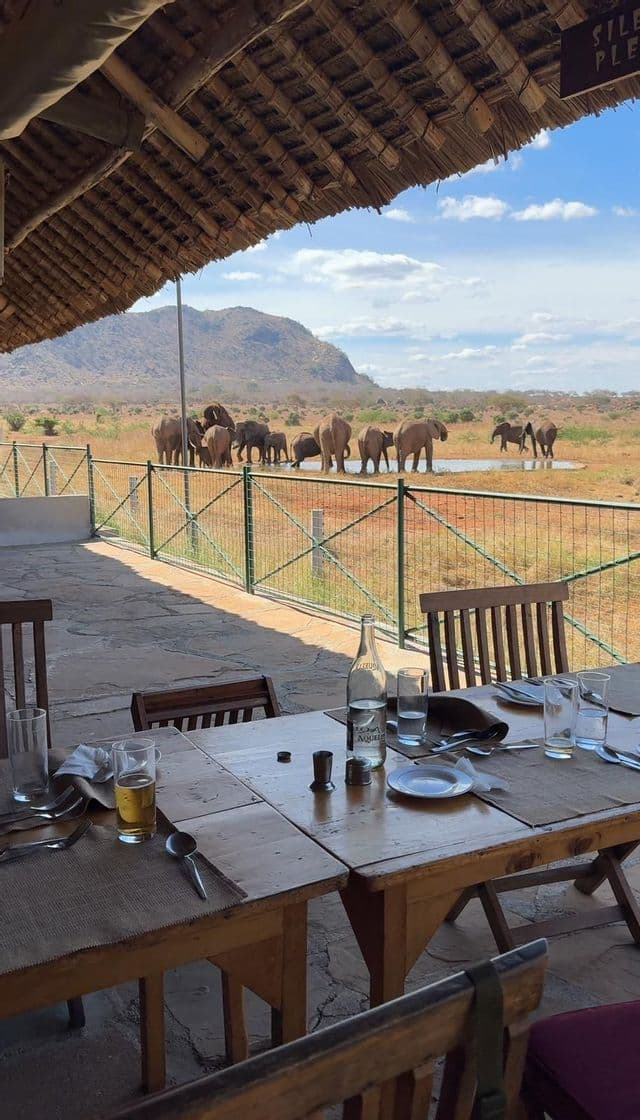 Un tavolo da pranzo in legno su un patio si affaccia su una mandria di elefanti che bevono da una pozza d'acqua nella savana.