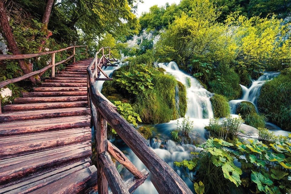 Eine rustikale Holztreppe mit Geländer schlängelt sich entlang eines rauschenden Wasserfalls in einem üppig grünen Wald.