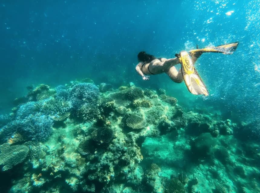 An underwater view of a woman in a bikini and yellow flippers swimming over a coral reef.