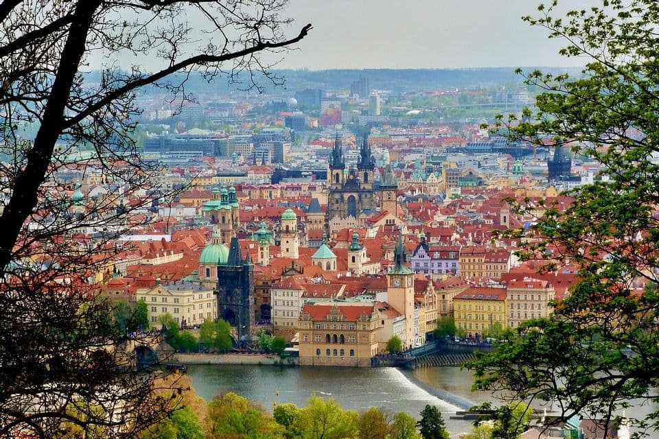 Vue en plongée d'une ville européenne historique avec des toits de tuiles rouges et des flèches, encadrée par des branches d'arbres, avec une rivière en contrebas.