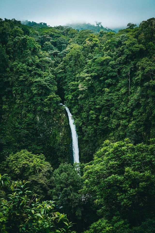 Una alta cascada fluye por una pared rocosa, rodeada por una vasta y densa selva verde bajo un cielo brumoso.