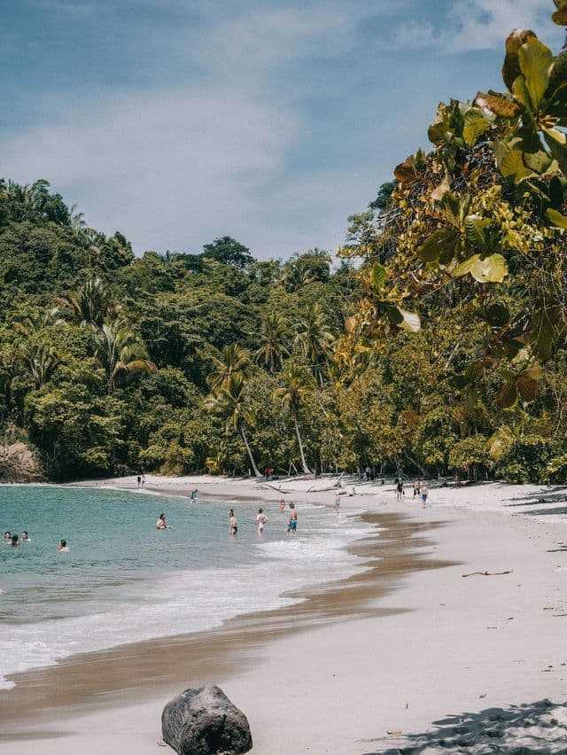 A WeRoad group trip enjoys a sunny day on a white sand beach, swimming in turquoise water next to a lush forest.