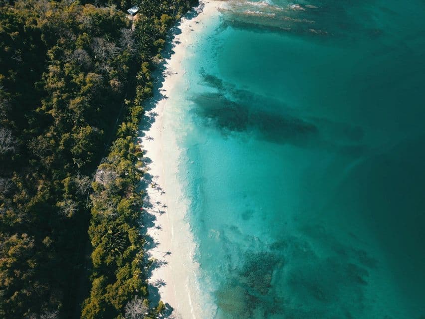 Vista aérea de una playa de arena blanca que separa un denso bosque verde de las claras aguas turquesas del océano.