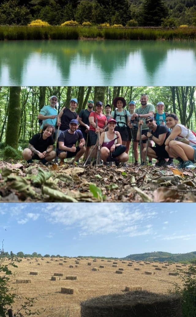 Un collage fotografico di un viaggio di gruppo WeRoad, con un gruppo in una foresta, un tranquillo lago verde e un campo soleggiato di balle di fieno.