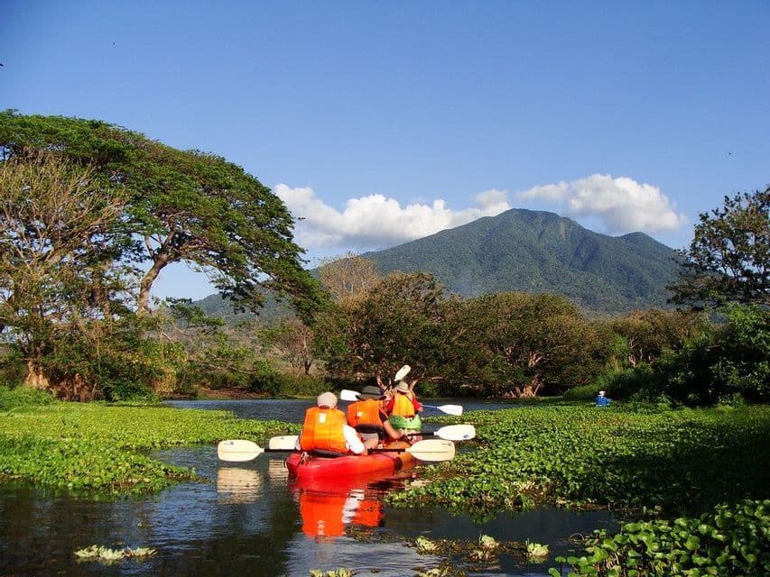 Un voyage de groupe WeRoad en kayaks traversant une rivière couverte de jacinthes d'eau, avec une montagne boisée en arrière-plan.