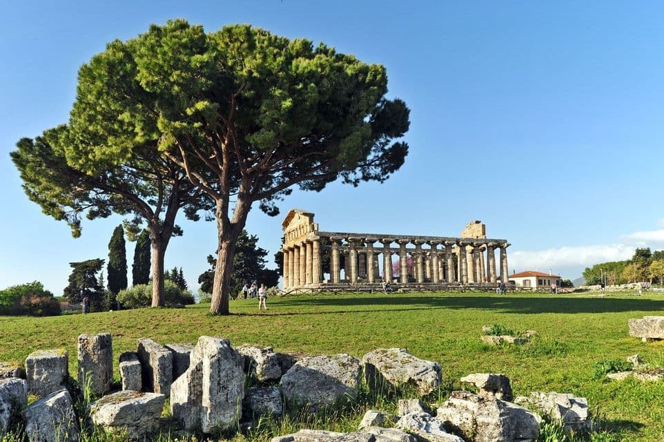 Un antico tempio in pietra con colonne si erge su un campo erboso accanto a due grandi pini sotto un cielo azzurro e limpido.