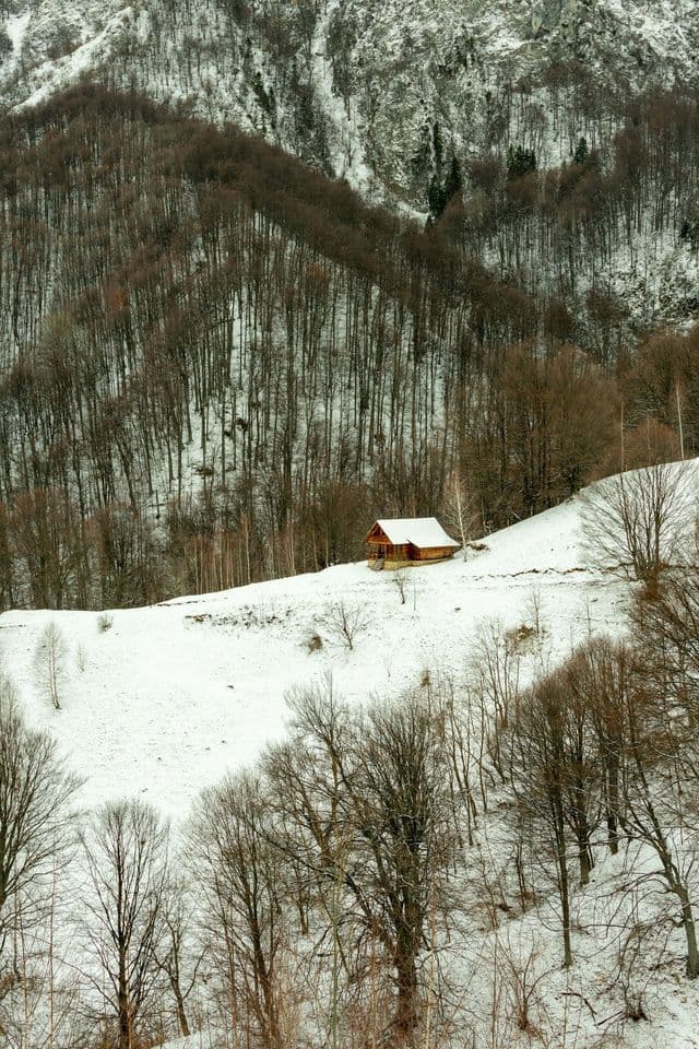 Una baita in legno solitaria con il tetto innevato, adagiata su un fianco di montagna innevato e circondata da una fitta foresta spoglia.