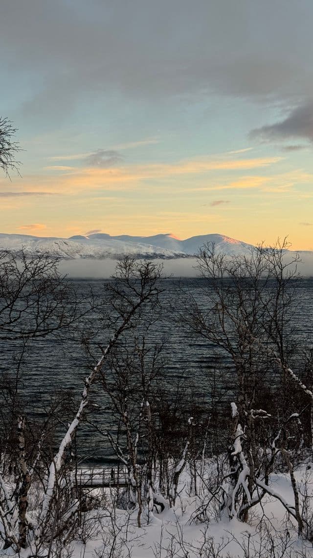 Una vista attraverso alberi spogli innevati, un lago scuro e montagne innevate in lontananza sotto un cielo dai colori pastello.