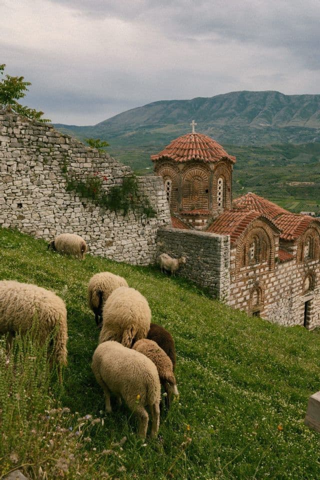 Un troupeau de moutons paît sur une colline verdoyante à côté d'une vieille église en pierre au toit de tuiles rouges, avec des montagnes en arrière-plan.