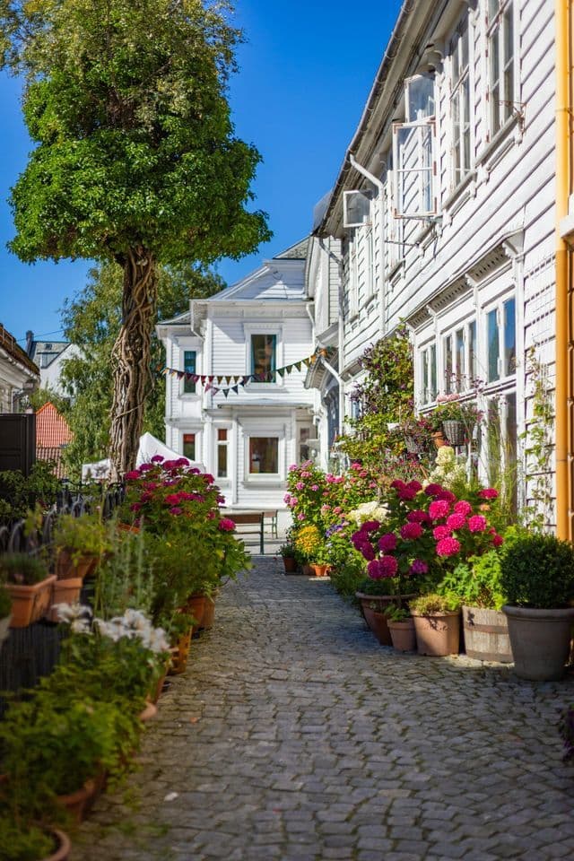 A cobblestone alley lined with colorful potted flowers, flanked by white wooden houses under a bright blue sky.