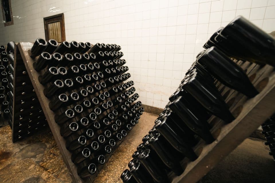 Fila di bottiglie di vetro scuro conservate a testa in giù in pupitres di legno all'interno di una cantina.