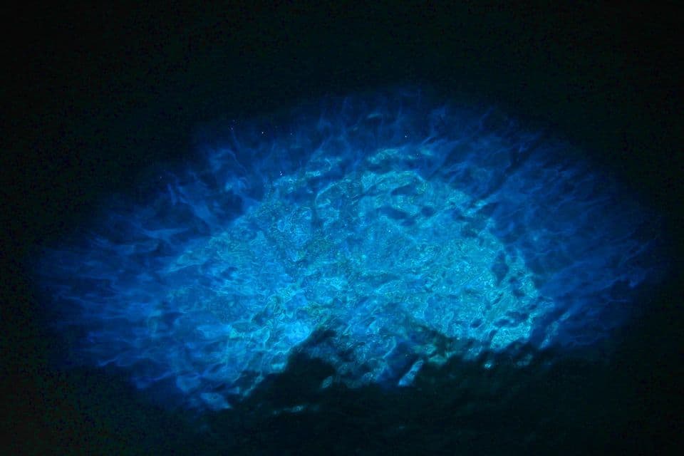 Il plancton bioluminescente brilla in sfumature di blu elettrico nell'acqua scura di notte, creando increspature di luce sulla superficie.