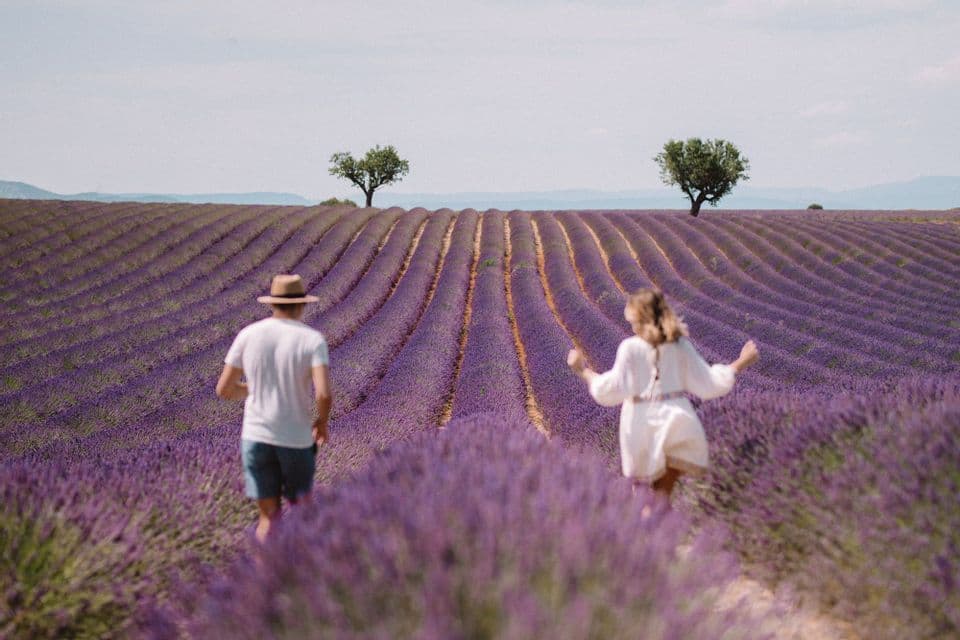 A man and a woman, seen from behind, walk through a field of purple lavender growing in long, rolling rows.
