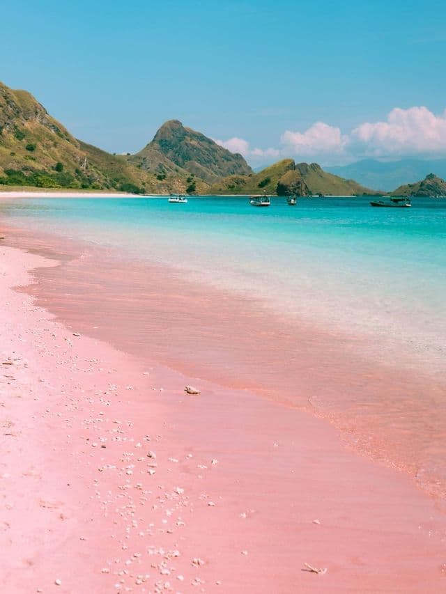 Una spiaggia di sabbia rosa digrada in acque calme e turchesi, con diverse barche che galleggiano in una baia circondata da verdi colline.