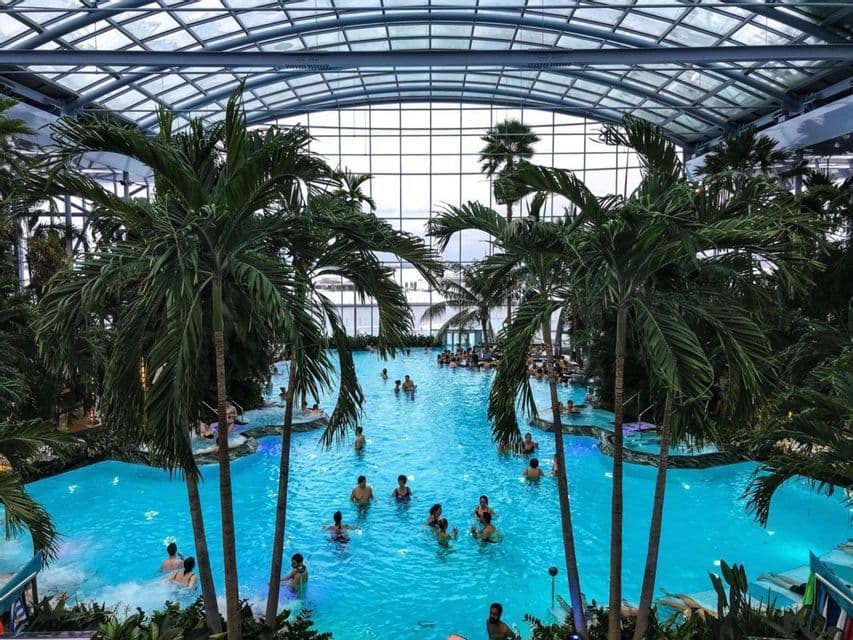People swimming in a large indoor pool surrounded by palm trees under an expansive, arched glass roof.