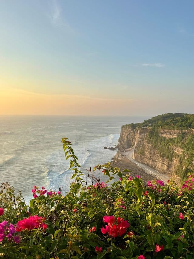 Fiori rosa vivaci incorniciano una vista panoramica di una scogliera verde e lussureggiante a picco sull'oceano, durante un tramonto velato.