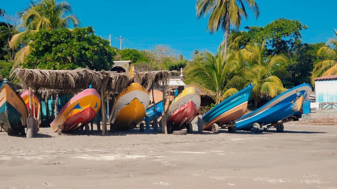 Una fila di barche da pesca colorate parcheggiate su una spiaggia sabbiosa sotto un cielo azzurro limpido, con palme lussureggianti sullo sfondo.
