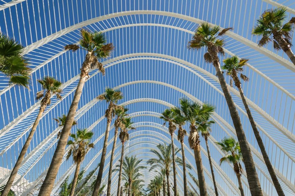 Una vista en contrapicado de altas palmeras creciendo a través de una moderna estructura blanca arqueada bajo un cielo azul claro.