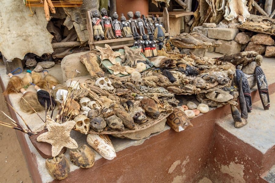 Una bancarella di mercato all'aperto che espone teschi di animali, teste di animali essiccate, stelle marine, gusci di tartaruga e figure in legno intagliato.