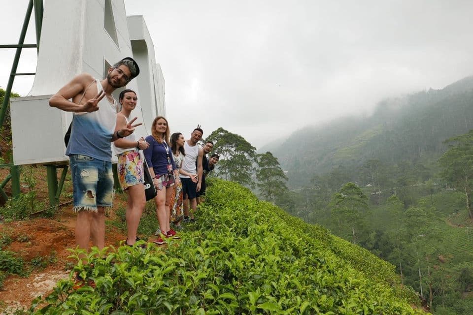 Un groupe WeRoad en voyage posant pour une photo en ligne le long d'une plantation de thé à flanc de colline, avec un paysage de montagnes brumeuses en arrière-plan.