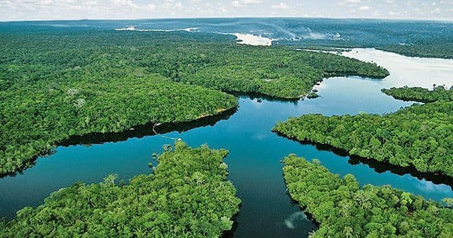 An aerial view of a wide river winding through a vast, dense green rainforest stretching to the horizon under a cloudy sky.