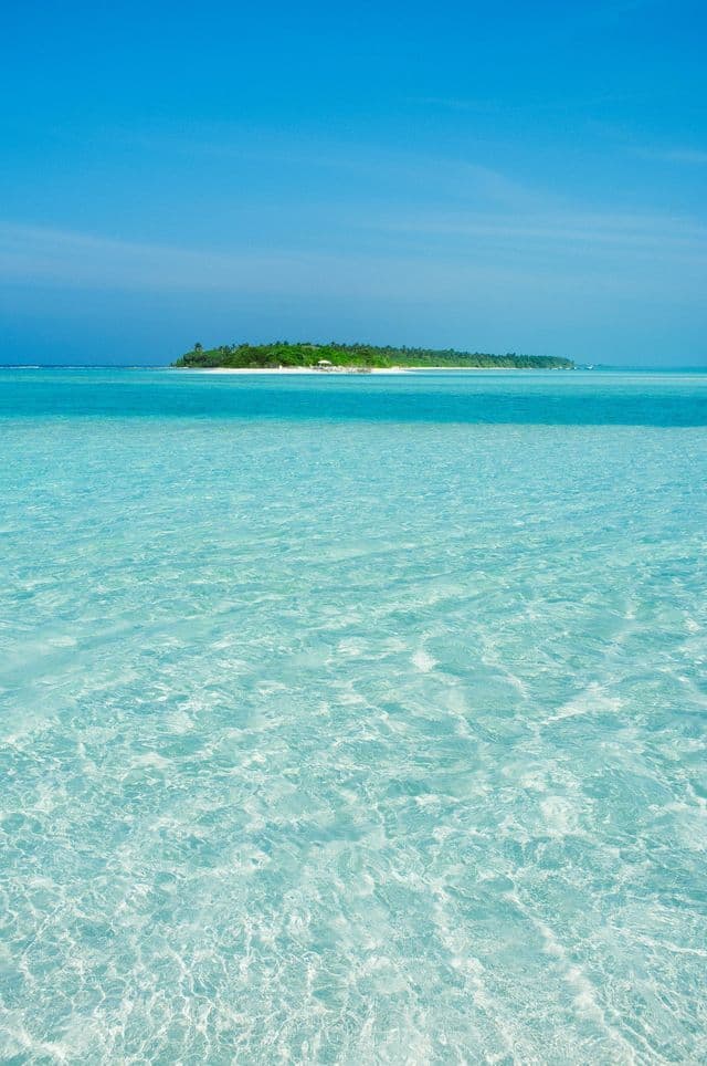 Una piccola isola tropicale con alberi verdi si staglia all'orizzonte su acque limpide e turchesi sotto un cielo azzurro.