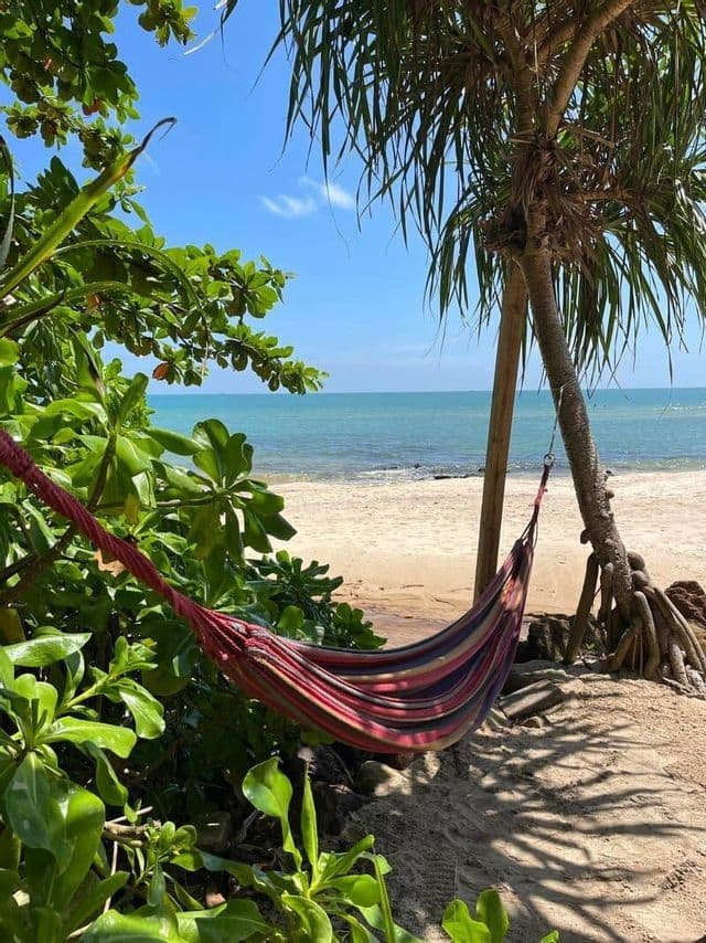 Un hamac rayé coloré est suspendu entre des arbres sur une plage de sable, surplombant l'océan calme sous un ciel bleu.