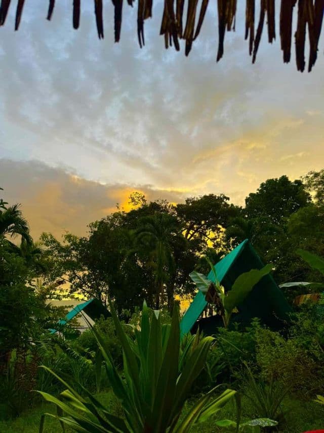 Uno scorcio da sotto un tetto di paglia rivela tende a capanna verdi immerse nella lussureggiante giungla, sotto un cielo nuvoloso con un tramonto dorato.