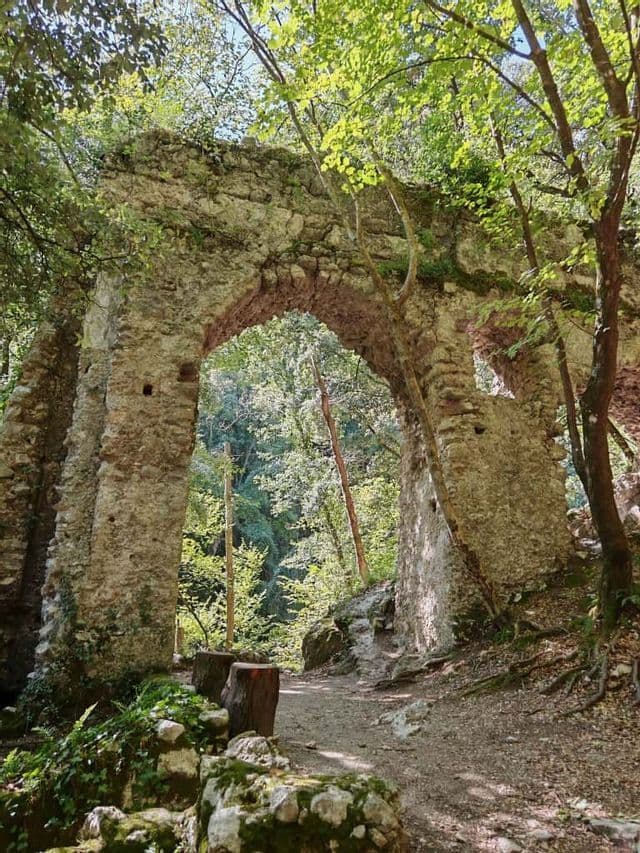 Eine alte Steinbogenruine steht in einem dichten Wald, unter der sich ein Feldweg durch die Bäume schlängelt.