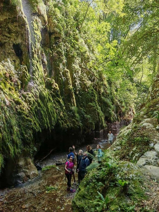 Eine WeRoad-Gruppe steht in einem Bach in einer üppigen, moosbewachsenen Schlucht und blickt zu einem Wasserfall auf, der die Felsen hinunterrieselt.