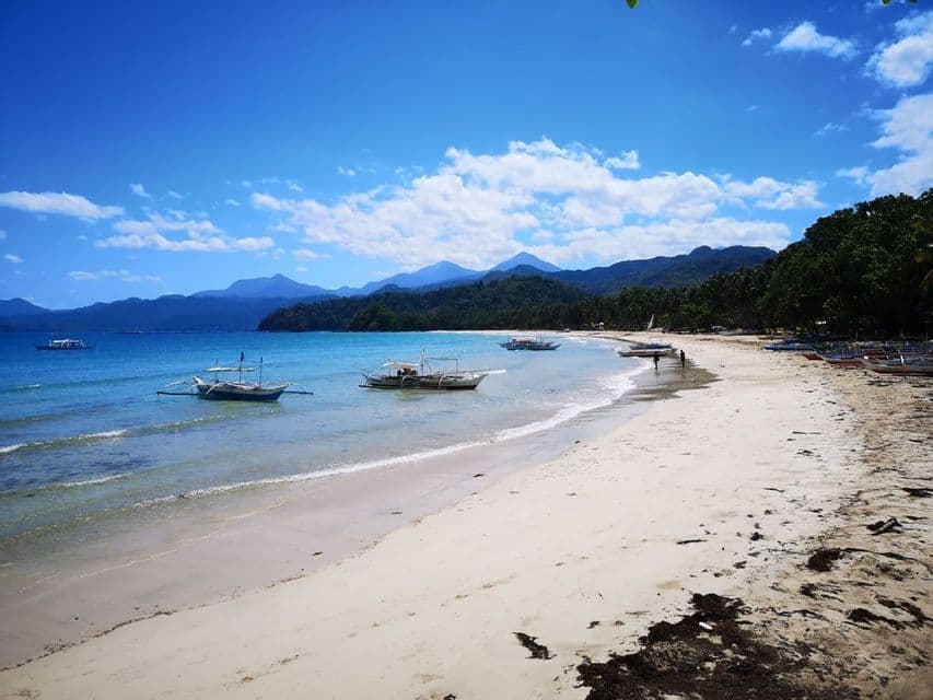 Varios barcos flotan en el mar en calma junto a una playa de arena blanca, con una exuberante costa montañosa al fondo.