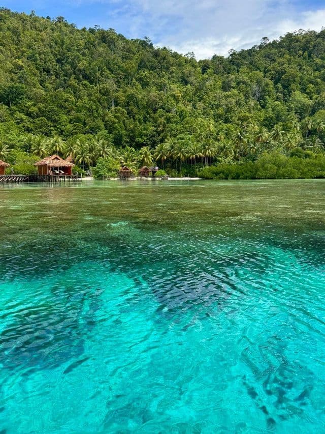 Una vista attraverso acque limpide e turchesi verso bungalow in legno su una costa sostenuta da una fitta foresta verde sotto un cielo parzialmente nuvoloso.