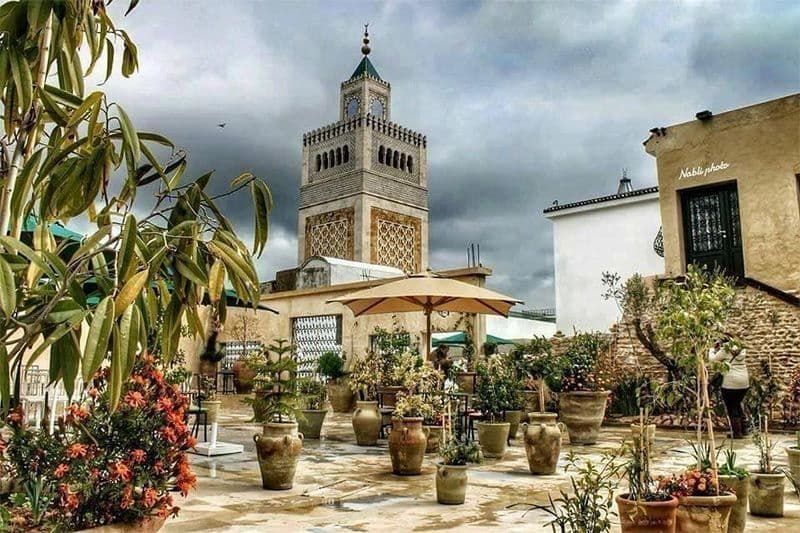Une terrasse sur le toit agrémentée de plantes en pot, avec un minaret historique en pierre se dressant en arrière-plan sous un ciel nuageux.