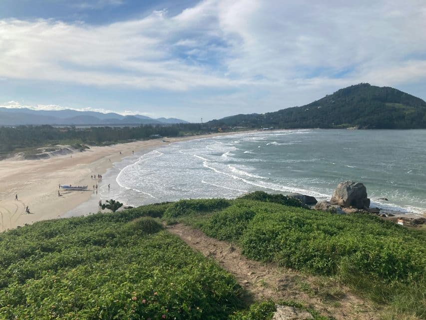 Una vista panoramica da una collina erbosa che si affaccia su un'ampia spiaggia sabbiosa con onde leggere, un promontorio boscoso e montagne in lontananza.