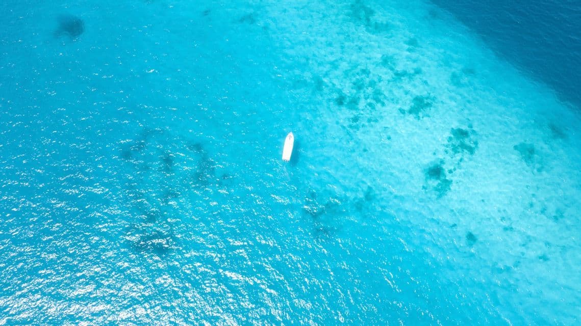 Una vista aerea dall'alto di una piccola barca bianca che galleggia su acqua turchese cristallina, con il fondale marino visibile.