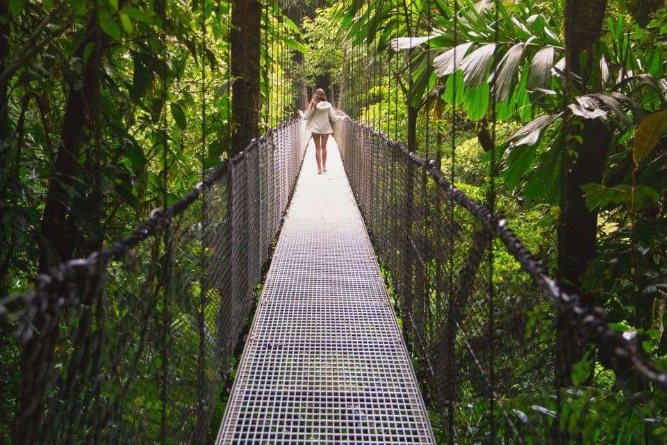 A person walks across a long metal suspension bridge surrounded by a lush green jungle.