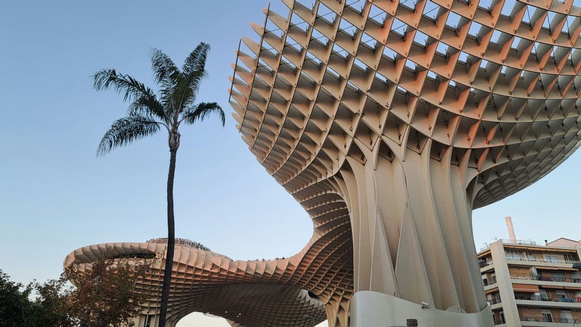 Una grande e moderna struttura a traliccio in legno si erge accanto a un'alta palma, illuminata da una luce calda sotto un cielo sereno.