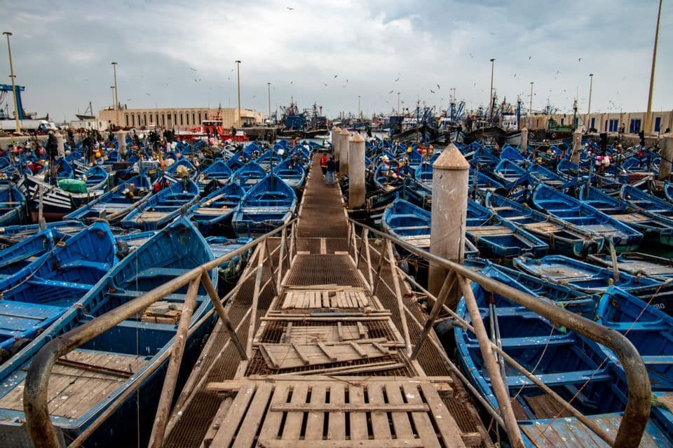 Ein Blick von einer Holzrampe auf Dutzende blauer Fischerboote, die sich in einem Hafen unter bewölktem Himmel drängen.