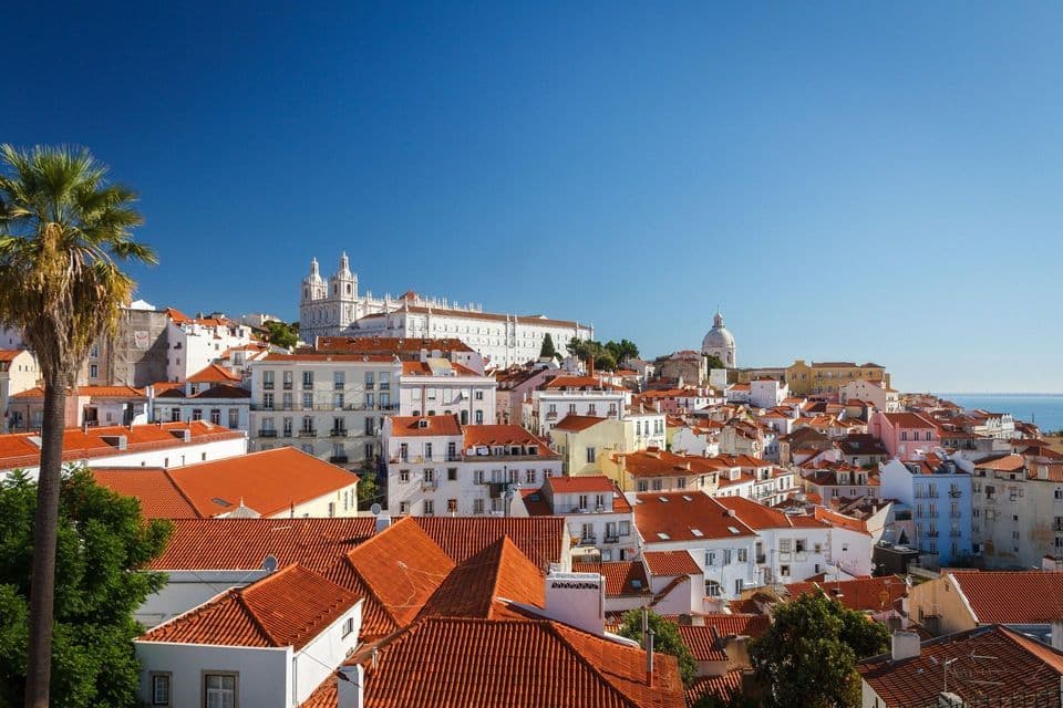 Una vista elevada de una ciudad costera con tejados de tejas rojas y edificios blancos bajo un cielo azul sin nubes, con una palmera a la izquierda.