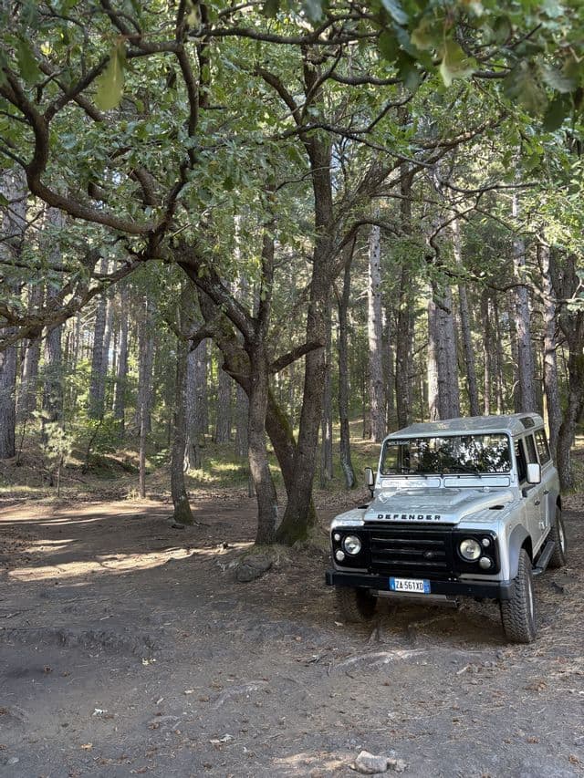 Una Land Rover Defender argentata è parcheggiata su una radura sterrata in un bosco soleggiato con alberi alti e frondosi.