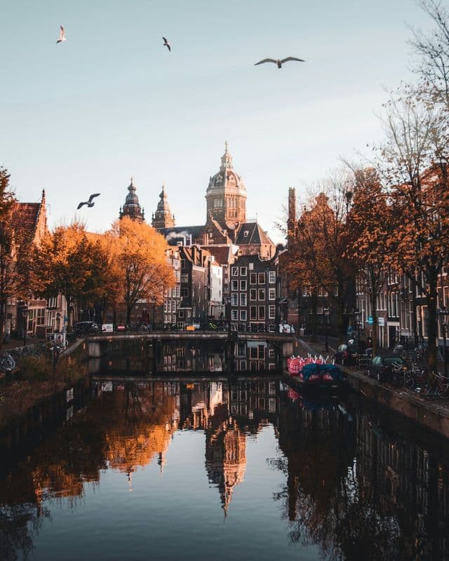 A city canal reflects historic buildings and trees with orange autumn foliage under a clear sky with birds flying overhead.
