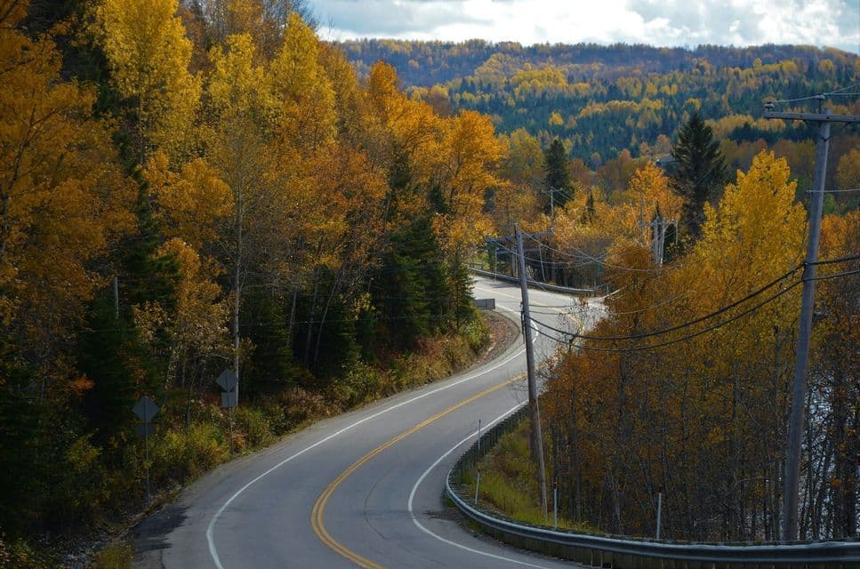 Una strada tortuosa si snoda attraverso un paesaggio collinare boscoso con un fogliame giallo e arancione vibrante in autunno.
