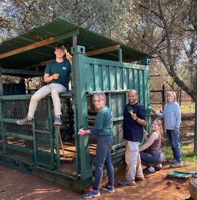 Un voyage de groupe WeRoad de cinq bénévoles peignant une grande enceinte métallique verte en plein air, sous les arbres.