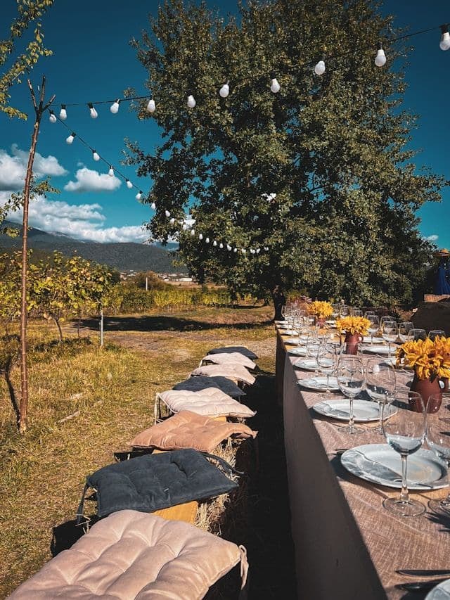 An outdoor dining table set in a vineyard, with cushioned hay bales for seats and string lights overhead.