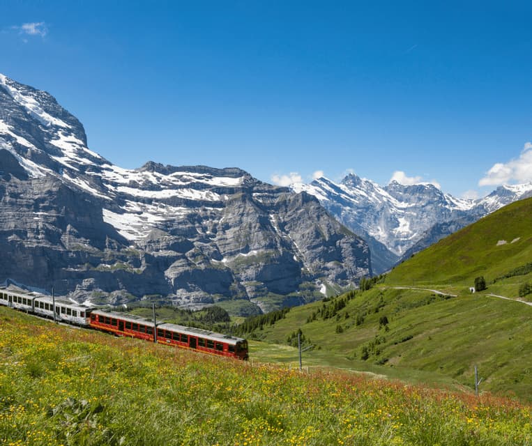 A red and white train travels along a track on a vibrant green hillside covered in wildflowers, with large snow-capped mountains in the background.
