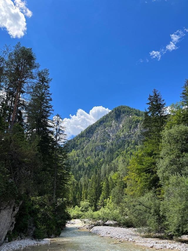 Un fiume limpido scorre attraverso una fitta foresta ai piedi di una montagna verde sotto un cielo azzurro brillante con nuvole.
