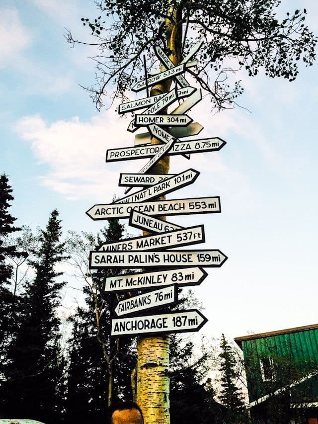 A signpost made from a birch tree trunk displays multiple signs pointing towards various Alaskan destinations like Anchorage and Fairbanks.