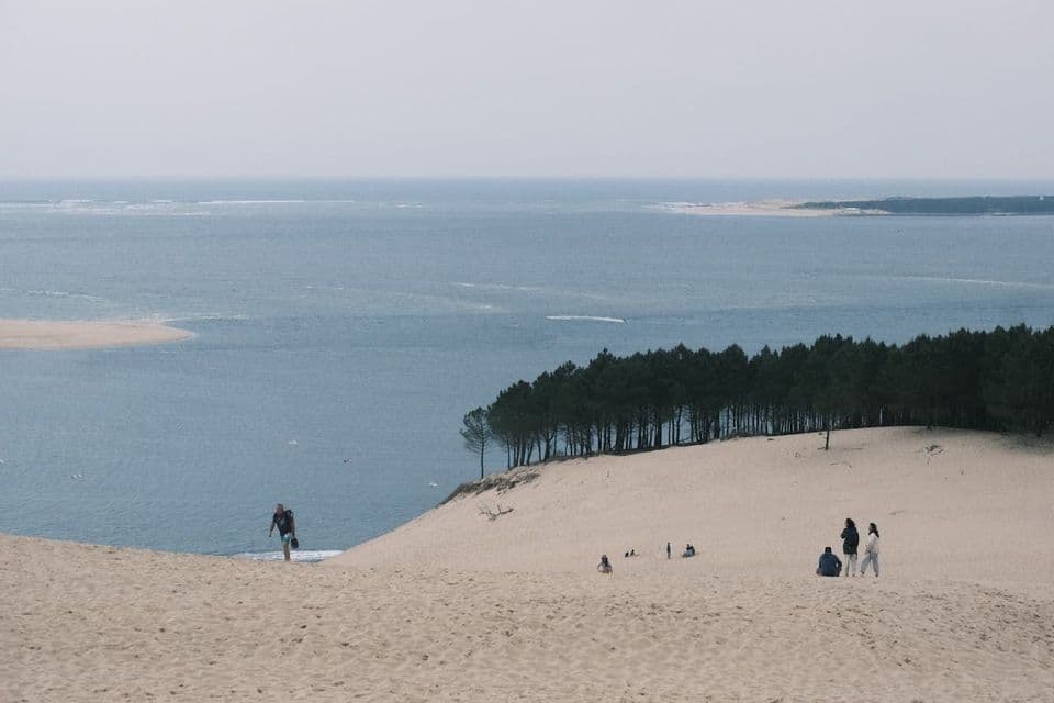 People scattered across a vast sand dune overlooking a wide body of water and a distant line of trees.